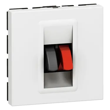 Mosaic-New Розетка аудио 2мод