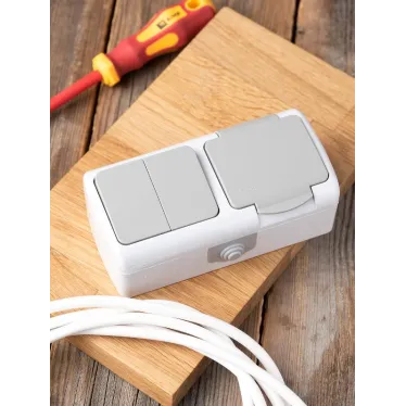 Блок розетка Мурманск 1-м 16А с заземлением с крышкой + двухклавишный выключатель IP54 серый