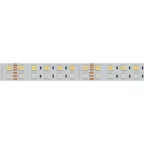 Лента LED RT-B144-19мм 24V RGBW-Day (32 W/m, IP20, 5060, 5м) (ARL, -)