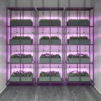 Светильник светодиодлный для растений (фитосветильник) ДПО 8 Вт IP20 561х25х37 мм Fito