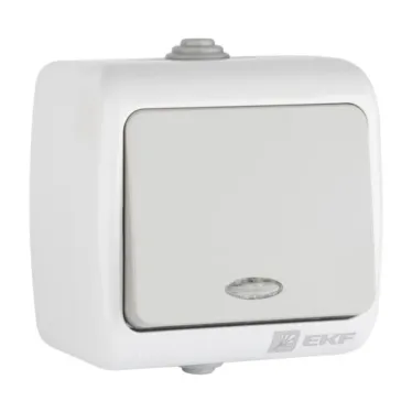 Выключатель 1-клавишный с индикатором 10А Мурманск серый