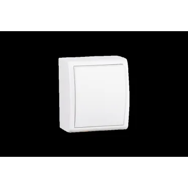 Выключатель одноклавишный, IP54 10А 250В, винтовой зажим, S15A, белый