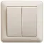 W59 Выключатель двухклавишный, 10АХ, в сборе, слоновая кость