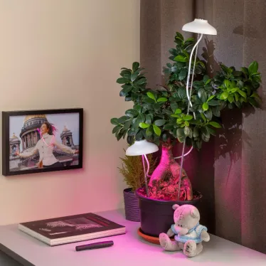 Светильник светодиодный настольный фито для растений/для грунта белый спектр FITO-12W-FLED | Б0039068 | ЭРА