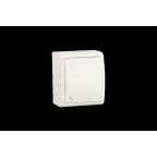 15 Aqua Выключатель проходной (переключатель) IP54 10А 250В винтовой зажим S15A слоновая кость