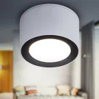 Светильник настенно-потолочный спот OL28 WH/BK GX53, черно-белый, IP44