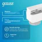 Адаптер питания для подключения светильников к трековой системе к сети белый | TR121 | Gauss