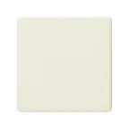 Заглушка, сл.кость