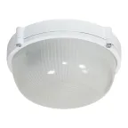                  Светильник НПП-03-60-013 IP65 Банник 1301 Круг малый матовый корпус белый
               