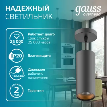 Светильник светодиодный накладной/подвесной HD035 12W (черный/золото) 4100K 79*200мм 1/10 | HD035 | Gauss