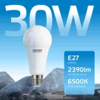 Лампа светодиодная LED Elementary A67 30W E27 2390lm 6500K | 73239 | Gauss