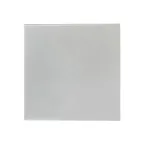 Валенсия лицевая панель выключателя 1-кл. 10А сталь