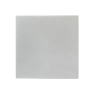 Валенсия лицевая панель выключателя 1-кл. 10А сталь