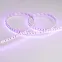 Лента LED RT-G120-8mm 24V RGB (11 W/m, IP20, 3838, 5m) (ARL, Открытый)
