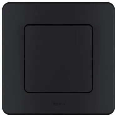 Рамка 1 пост INSPIRIA антрацит