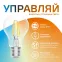 Лампа светодиодная филаментная Smart Home DIM+CCT E27 A60 6,5Вт 2000-6500 К 1/10/40 | 1220112 | Gauss