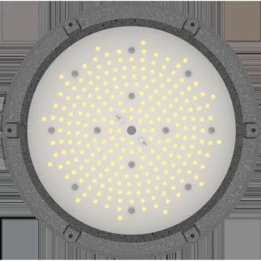 Светильник светодиодный взрывозащищенный ZENITH LED 70 D120 B Ex G2 | 1226000540 | Световые Технологии