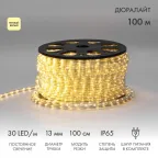 Дюралайт LED, постоянное свечение 2W - тёплый белый, 30 LED/м, 100 м