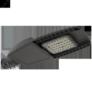 Светильник светодиодный консольный ДКУ62-240-001 Champion 740 | 1171424001 | АСТЗ