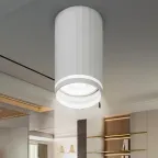 Светильник настенно-потолочный спот OL42 WH MR16 GU10 IP20 белый