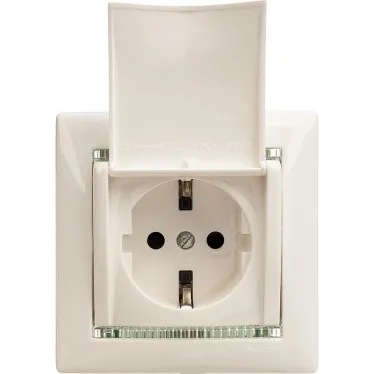VALENA Розетка с заземлением в рамку с крышкой белая