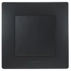 Выключатель одноклавишный, автоматические клеммы 10 AX 250В, антрацит