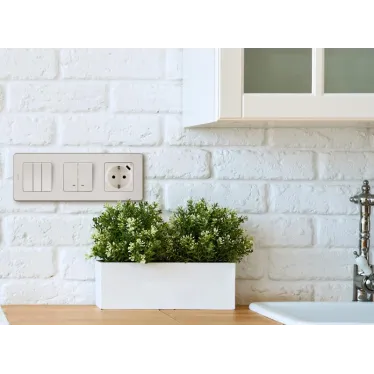 Розетка 2К+З немецкий стандарт 16А 250В со встроенным зарядным устройством USB C 1.5А 5В INSPIRIA слоновая кость