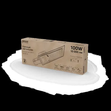 Светильник уличный консольный ДКУ 100 Вт 10000 лм 5000К AC 220В IP65 420х160х57мм широкая КСС Ш Avenue Gauss