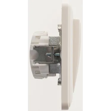 W59 Выключатель двухклавишный, 10АХ, в сборе, слоновая кость