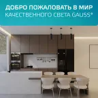 Светильник светодиодный накладной/подвесной HD035 12W (черный/золото) 4100K 79*200мм 1/10 | HD035 | Gauss