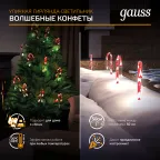 Светильник новогодний Holiday " Волшебные конфеты", IP44 мультицвет LED 1/8 | HL011 | Gauss