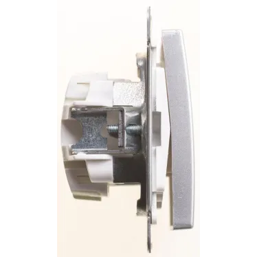 W59 Переключатель одноклавишный, 10АХ, механизм, шампань