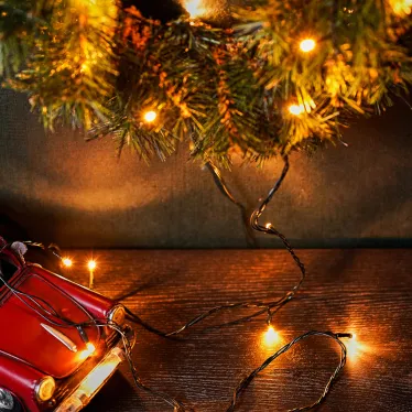 Гирлянда "Твинкл Лайт" 4 м, темно-зеленый ПВХ, 25 LED, цвет ТЕПЛЫЙ БЕЛЫЙ