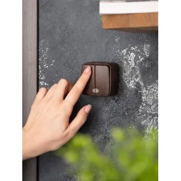 Выключатель двухклавишный ОП Минск 10А с индикатором темное дерево