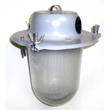 Светильник НСП-09-200-001 без решетки IP51