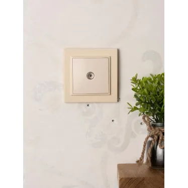 Розетка TV одноместная СП бежевый 75Ом 5-862МГц Минск