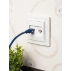 Розетка RJ-45 2-местная СП Минск белая