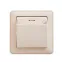 W59 Выключатель карточный одноклавишный скрытый бежевый