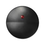 Клавиша с индикатором для 75102-, 75202-, 75212-39, S88, графит