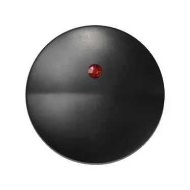 Клавиша с индикатором для 75102-, 75202-, 75212-39, S88, графит