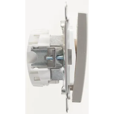 W59 Выключатель одноклавишный, 10АХ, механизм, шампань