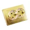 Розетка двойная скрытая с заземлением (стакан) золото