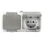 Розетка 2-местная Мурманск 16А с заземлением с крышкой IP54 серый с защитными шторками