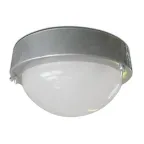 Светильник НББ 03-60-003 Терма 3 IP65 корпус серебро ИУ