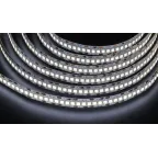 Лента светодиодная NLS-2835CW240-24-IP20-12V