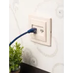 Розетка RJ-45+Phone СП бежевый Минск