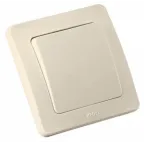 Выключатель одноклавишный скрытый слоновая кость 10А
