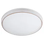 Светильник потолочный светодиодный SPB-6-80-RC Solar RGBD динамическое 80Вт