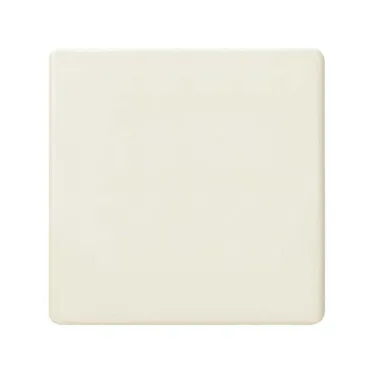 Заглушка, сл.кость