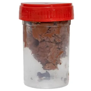 Заземлитель стержневой, 3м HZ PROxima